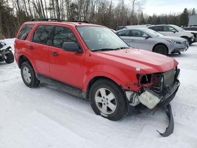 2009 Ford Escape XLT