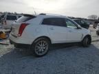 2013 Cadillac SRX Premium Collection