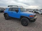 2007 Toyota FJ Cruiser