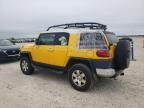 2007 Toyota FJ Cruiser