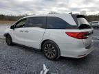 2021 Honda Odyssey EXL