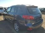 2007 Hyundai Santa FE SE