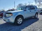 2008 Ford Escape HEV