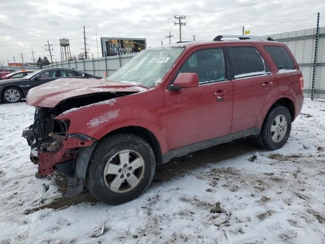 2009 Ford Escape Limited