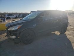 Salvage cars for sale at Kansas City, KS auction: 2014 Ford Escape SE