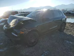 Salvage cars for sale at auction: 2017 Porsche Cayenne