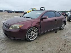 Salvage cars for sale at Houston, TX auction: 2006 Scion TC