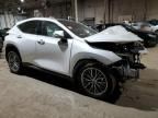 2024 Lexus NX 350H Base