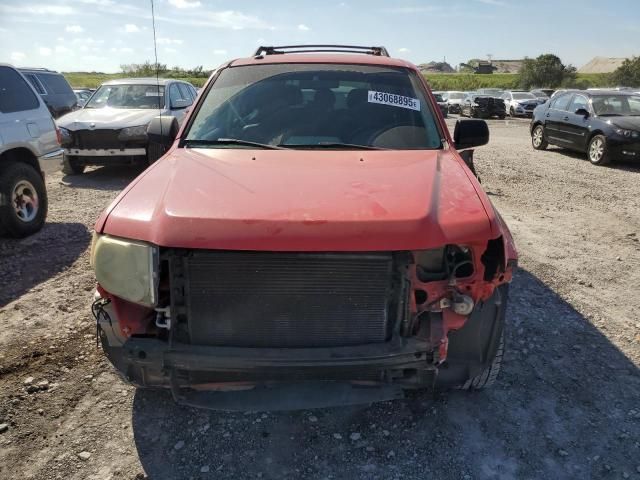 2009 Ford Escape XLT