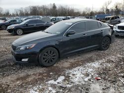 2014 KIA Optima EX en venta en Chalfont, PA