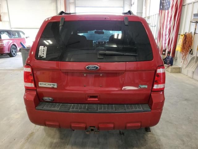 2010 Ford Escape XLT