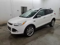 Salvage cars for sale at Madisonville, TN auction: 2016 Ford Escape SE