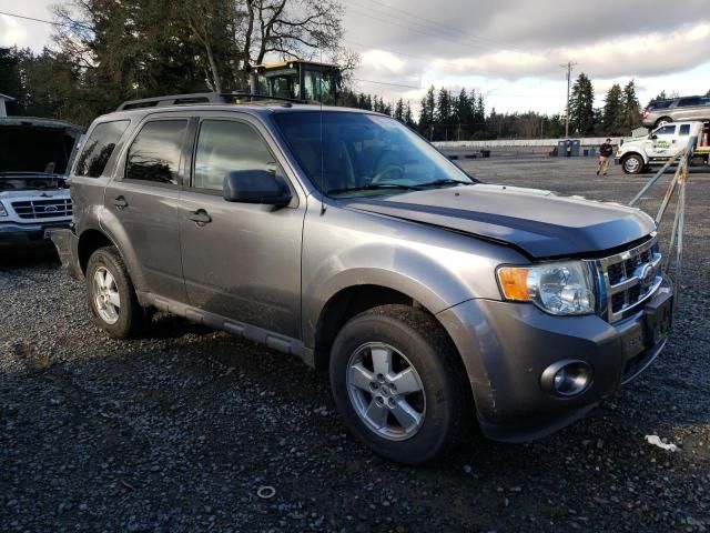 2009 Ford Escape XLT