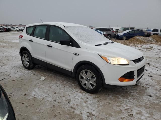 2014 Ford Escape S