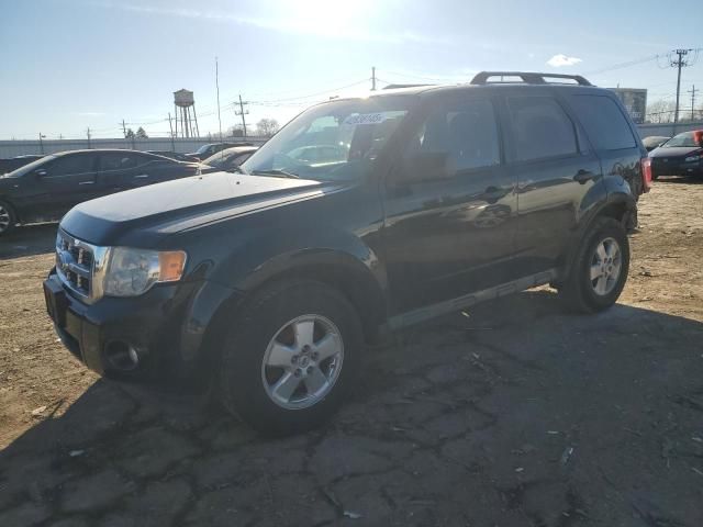 2012 Ford Escape XLT