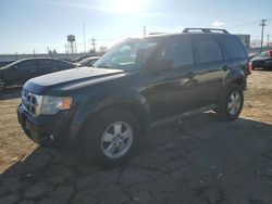 Salvage cars for sale from Copart Chicago Heights, IL: 2012 Ford Escape XLT