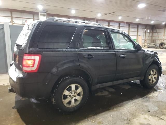 2010 Ford Escape Limited