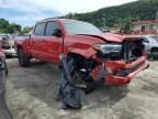 2023 Toyota Tacoma Double Cab