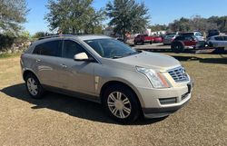 Salvage cars for sale at Ocala, FL auction: 2010 Cadillac SRX Luxury Collection