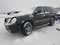 Salvage cars for sale at Wayland, MI auction: 2013 Cadillac Escalade Luxury