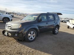 Honda Pilot exl Vehiculos salvage en venta: 2011 Honda Pilot EXL