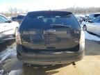 2008 Ford Edge SEL