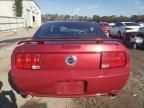 2006 Ford Mustang GT