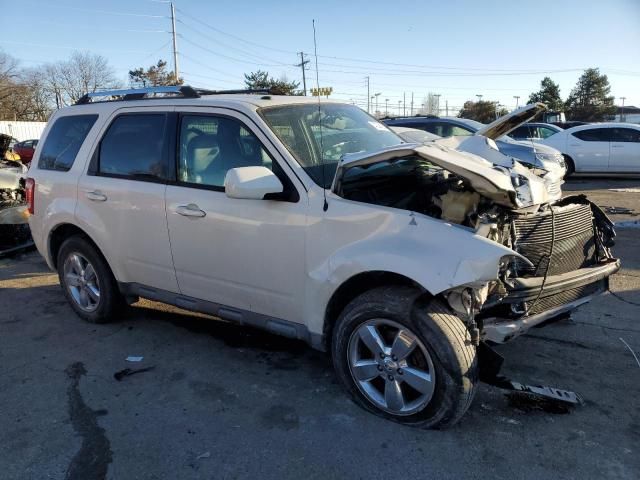 2011 Ford Escape Limited