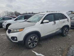 Salvage cars for sale at Duryea, PA auction: 2011 KIA Sorento Base