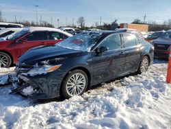 Salvage cars for sale at Bridgeton, MO auction: 2020 Toyota Camry XLE