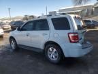 2010 Ford Escape Limited