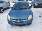 2004 Dodge Neon Base