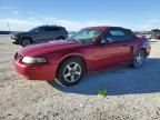 2001 Ford Mustang