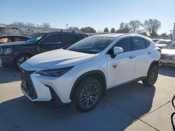 Salvage cars for sale at Sacramento, CA auction: 2024 Lexus NX 350H Base