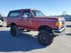 1989 Ford Bronco U100