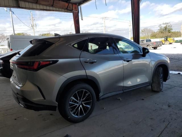 2024 Lexus NX 250 Premium