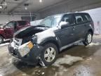 2009 Ford Escape XLS