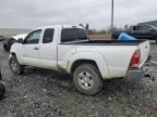 2006 Toyota Tacoma Prerunner Access Cab