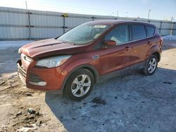 2014 Ford Escape SE en venta en Walton, KY