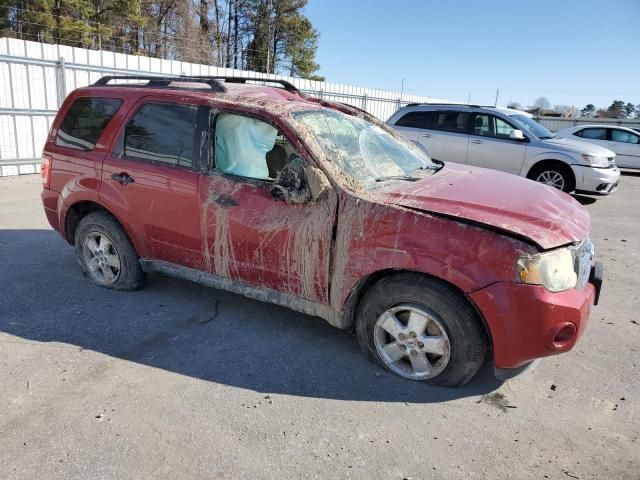 2011 Ford Escape XLT