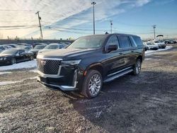 Cadillac Vehiculos salvage en venta: 2023 Cadillac Escalade ESV Premium Luxury