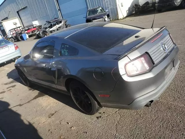 2010 Ford Mustang