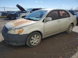 Toyota salvage cars for sale: 2003 Toyota Corolla CE