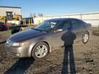 2008 Acura TL