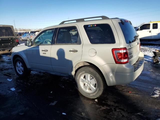 2009 Ford Escape XLT