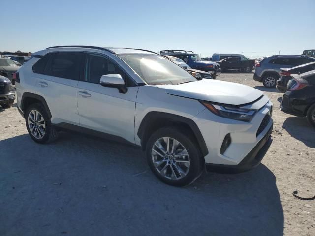 2023 Toyota Rav4 XLE Premium