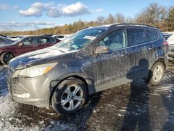 Salvage cars for sale at Brookhaven, NY auction: 2015 Ford Escape SE