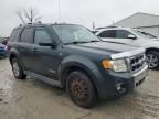 2008 Ford Escape Limited