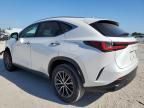 2024 Lexus NX 250 Premium