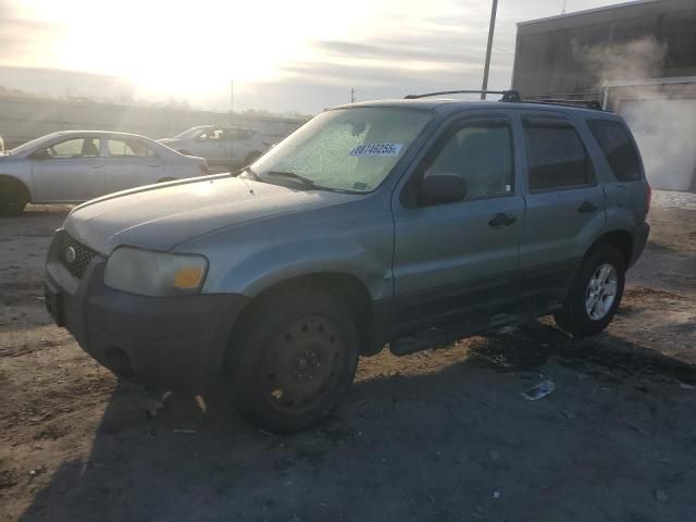 2005 Ford Escape XLT